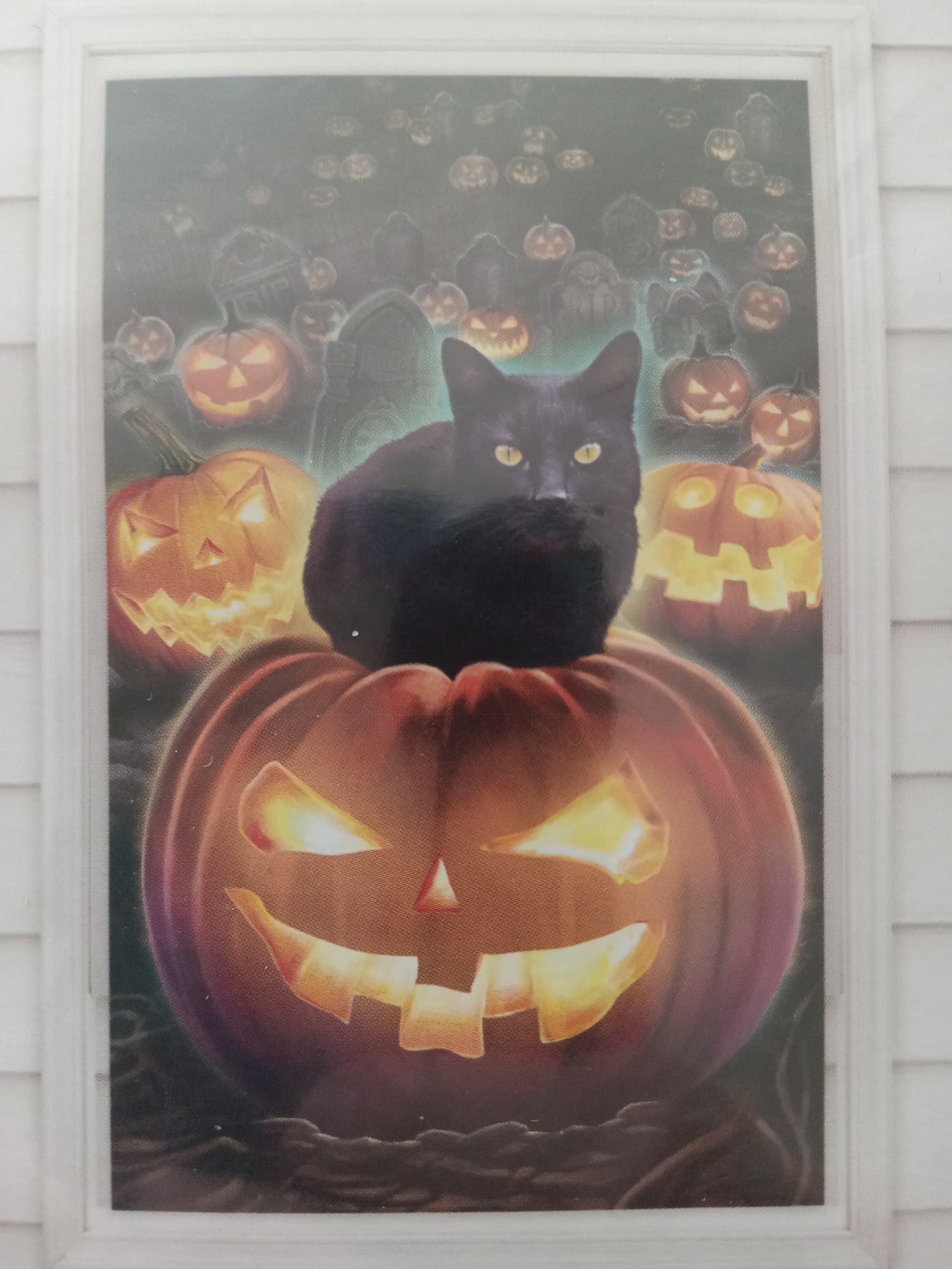 Black Cat Glowing Jack O Lantern Window Cover Decoration Halloween Outdoor Decor, 30"x48" NEW