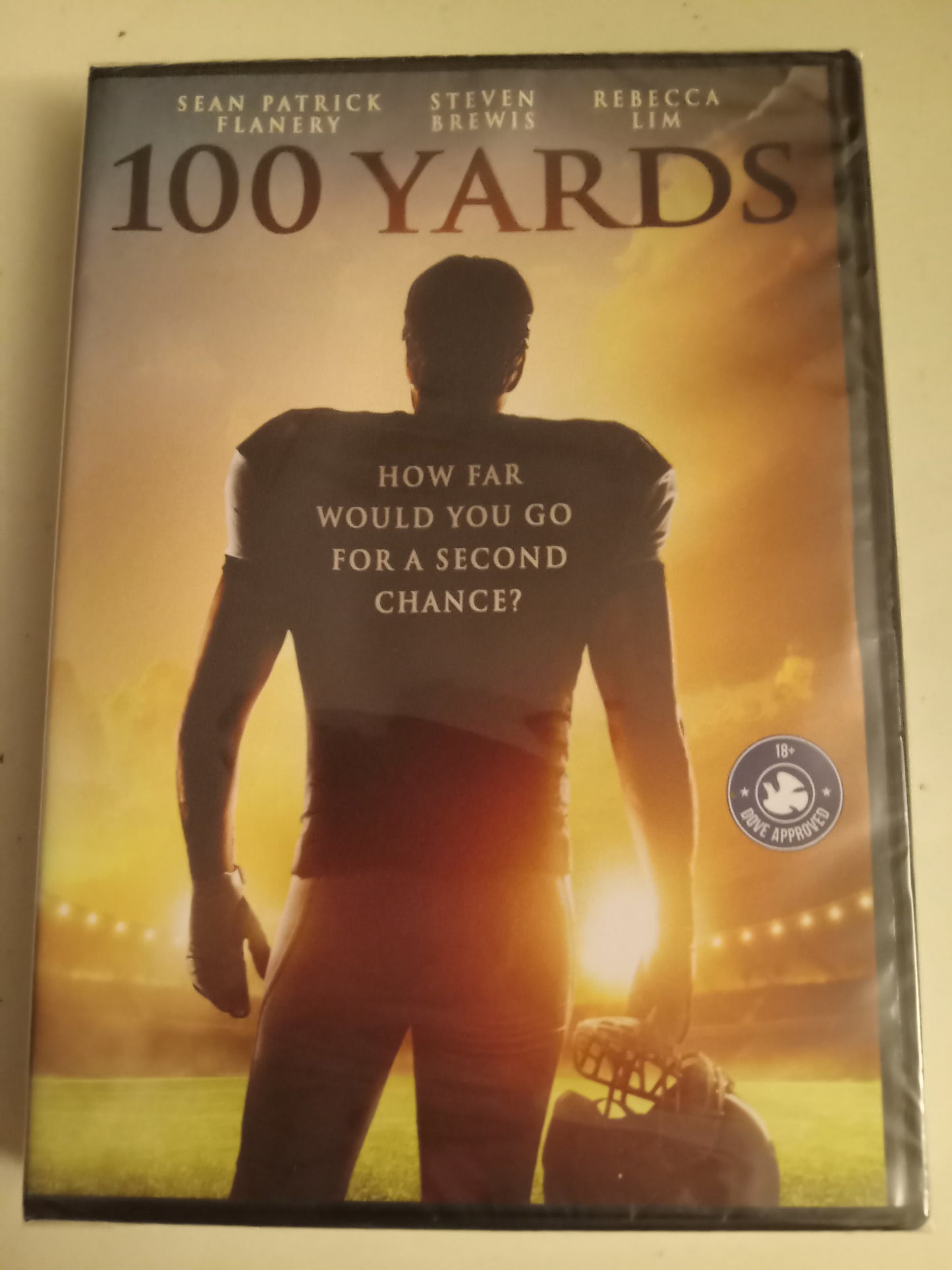 100 Yards, DVD Movie, Sean Patrick Flannery Widescreen, Not Rated, Rare NEW