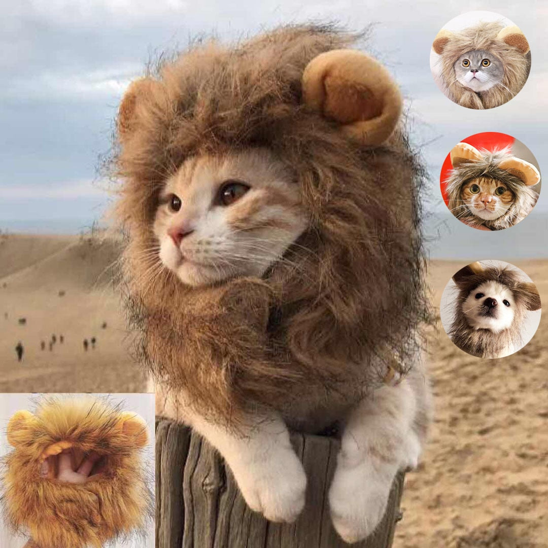 Lion Mane Cat Halloween Costume NEW