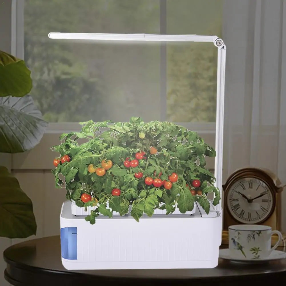 Hydroponic Smart Indoor Garden Planter Kit: Herbs Vegetables Flowers, LED Light, Box NEW