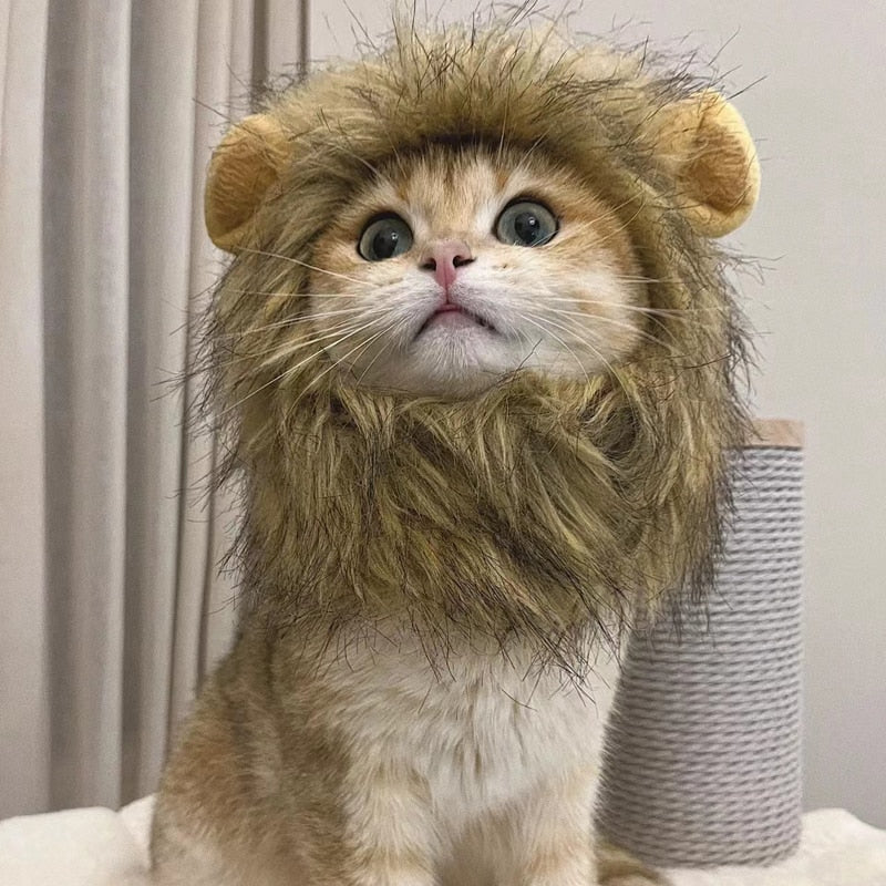 Lion Mane Cat Halloween Costume NEW