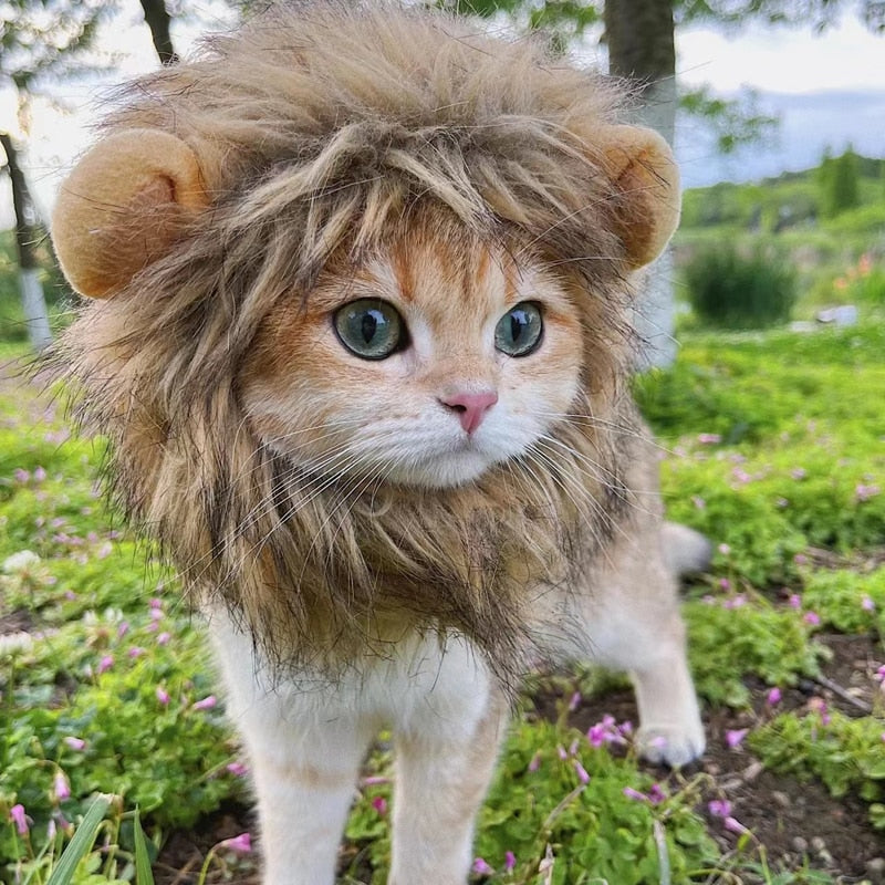 Lion Mane Cat Halloween Costume NEW